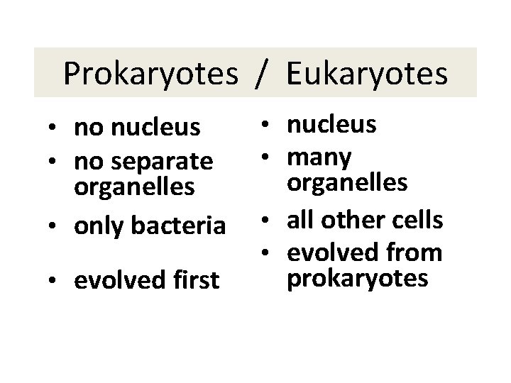 Prokaryotes / Eukaryotes • no nucleus • no separate organelles • only bacteria •