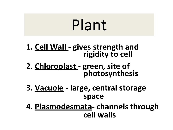 Plant 1. Cell Wall - gives strength and rigidity to cell 2. Chloroplast -