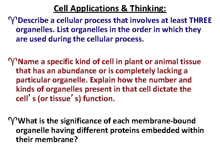 Cell Applications & Thinking: Describe a cellular process that involves at least THREE organelles.