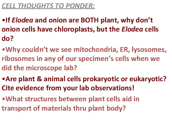 CELL THOUGHTS TO PONDER: • If Elodea and onion are BOTH plant, why don’t