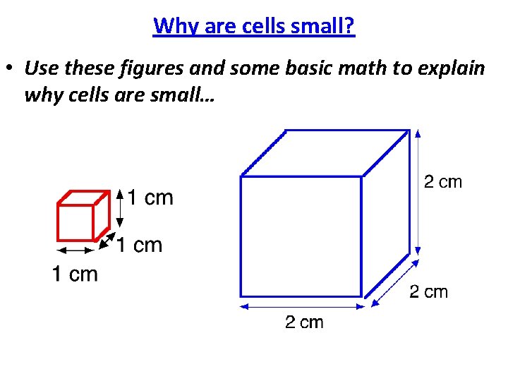 Why are cells small? • Use these figures and some basic math to explain