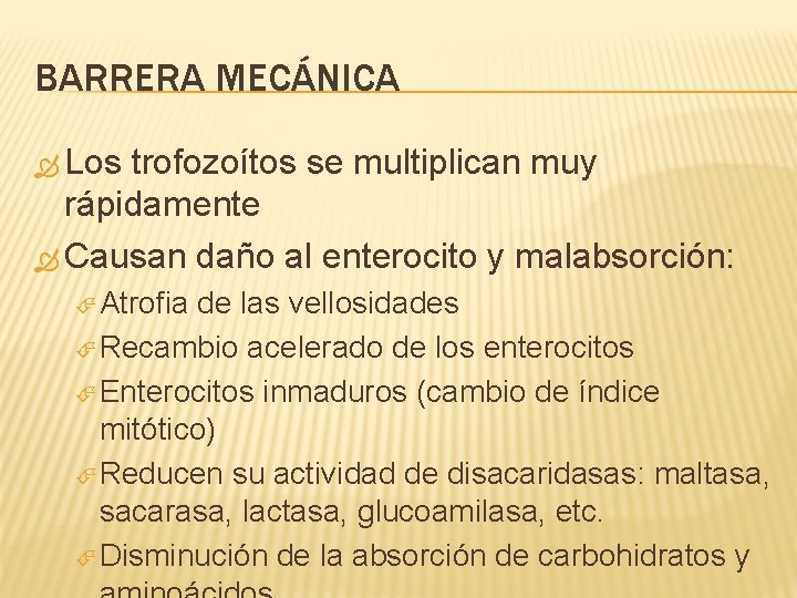 BARRERA MECÁNICA Los trofozoítos se multiplican muy rápidamente Causan daño al enterocito y malabsorción: