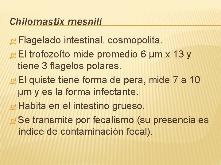 Chilomastix mesnili Flagelado intestinal, cosmopolita. El trofozoíto mide promedio 6 µm x 13 y