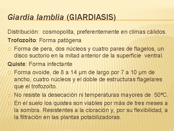 Giardia lamblia (GIARDIASIS) Distribución: cosmopolita, preferentemente en climas cálidos. Trofozoíto: Forma patógena � Forma