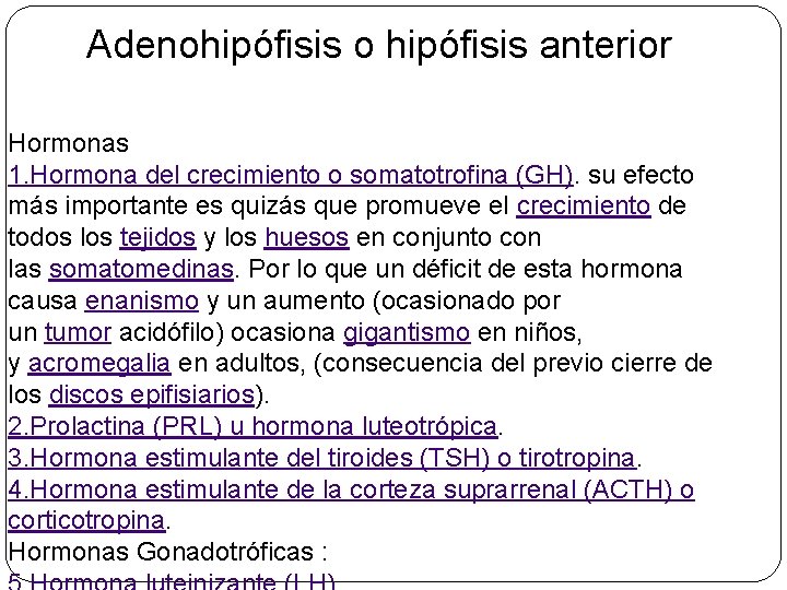 Adenohipófisis o hipófisis anterior Hormonas 1. Hormona del crecimiento o somatotrofina (GH). su efecto