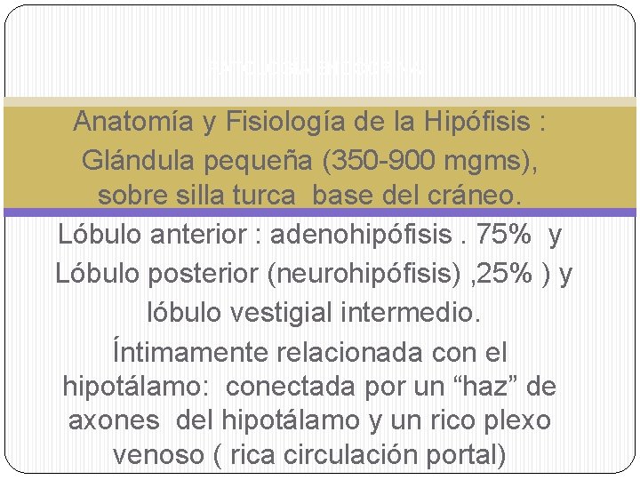 PATOLOGÍA ENDÓCRINA I Anatomía y Fisiología de la Hipófisis : Glándula pequeña (350 -900