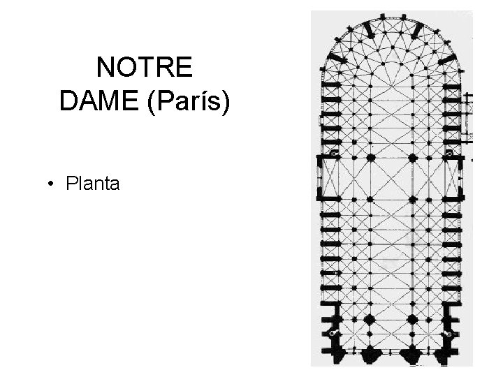 NOTRE DAME (París) • Planta 
