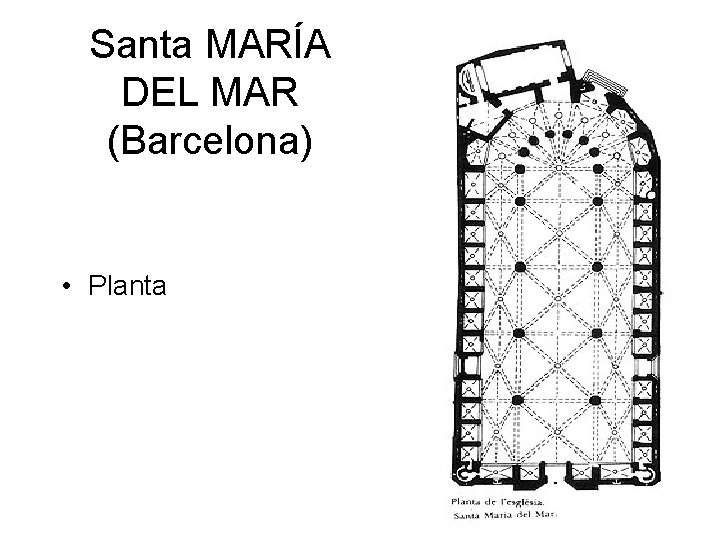 Santa MARÍA DEL MAR (Barcelona) • Planta 