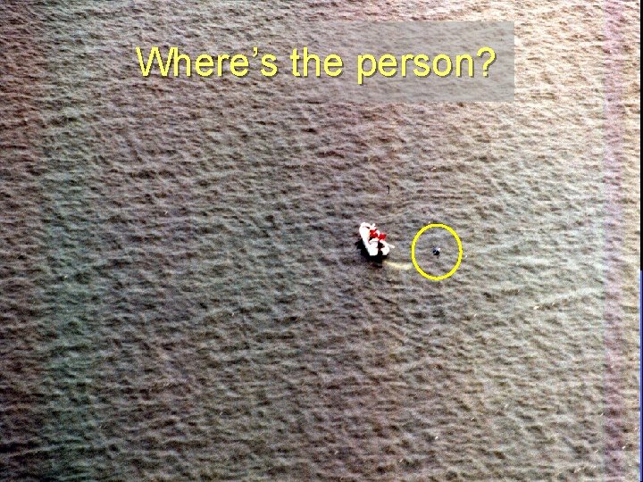 Where’s the person? Downloaded from www. avhf. com 