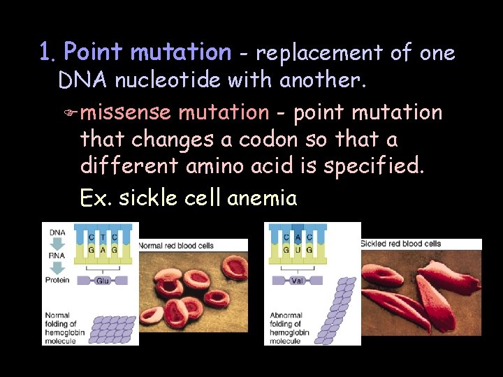 1. Point mutation - replacement of one DNA nucleotide with another. F missense mutation
