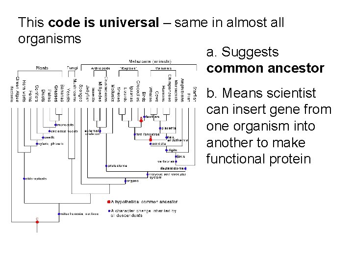 This code is universal – same in almost all organisms a. Suggests common ancestor