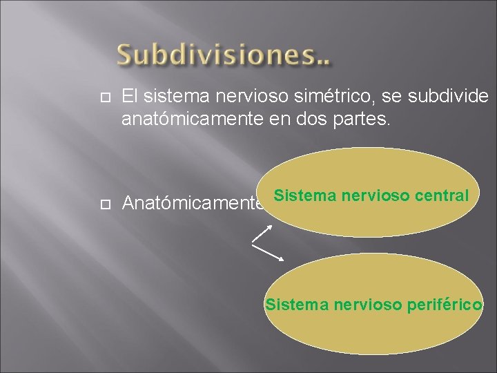  El sistema nervioso simétrico, se subdivide anatómicamente en dos partes. Anatómicamente Sistema nervioso