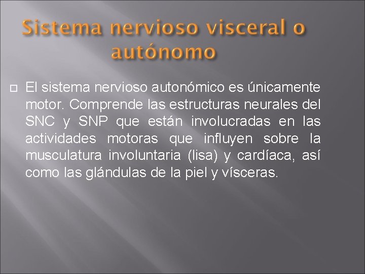  El sistema nervioso autonómico es únicamente motor. Comprende las estructuras neurales del SNC