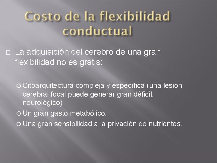  La adquisición del cerebro de una gran flexibilidad no es gratis: Citoarquitectura compleja