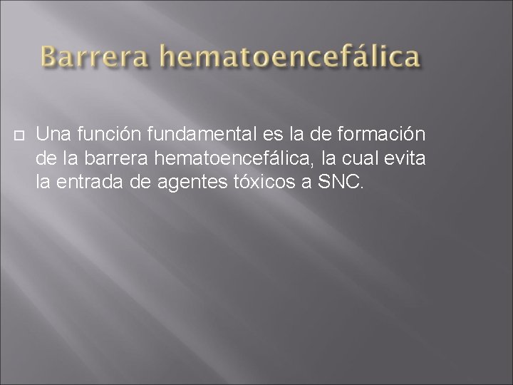  Una función fundamental es la de formación de la barrera hematoencefálica, la cual