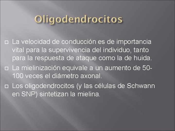  La velocidad de conducción es de importancia vital para la supervivencia del individuo,