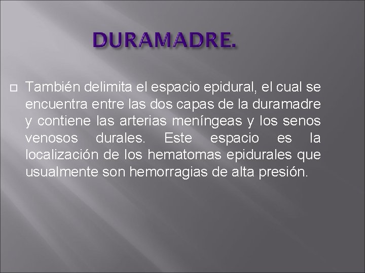  También delimita el espacio epidural, el cual se encuentra entre las dos capas