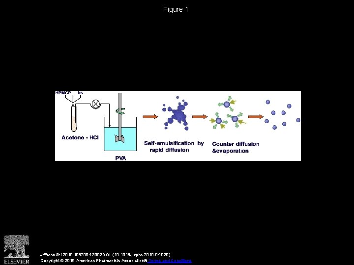 Figure 1 JPharm. Sci 2019 1082994 -3002 DOI: (10. 1016/j. xphs. 2019. 04. 020)