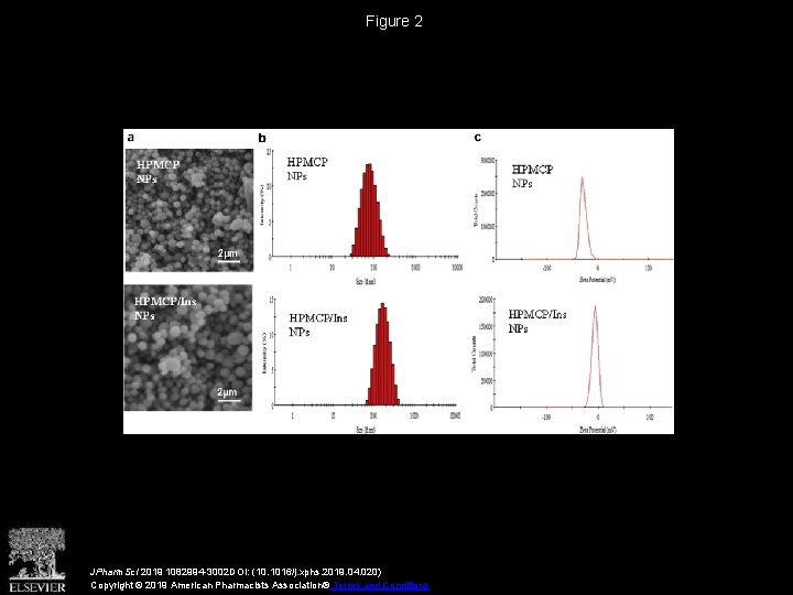 Figure 2 JPharm. Sci 2019 1082994 -3002 DOI: (10. 1016/j. xphs. 2019. 04. 020)