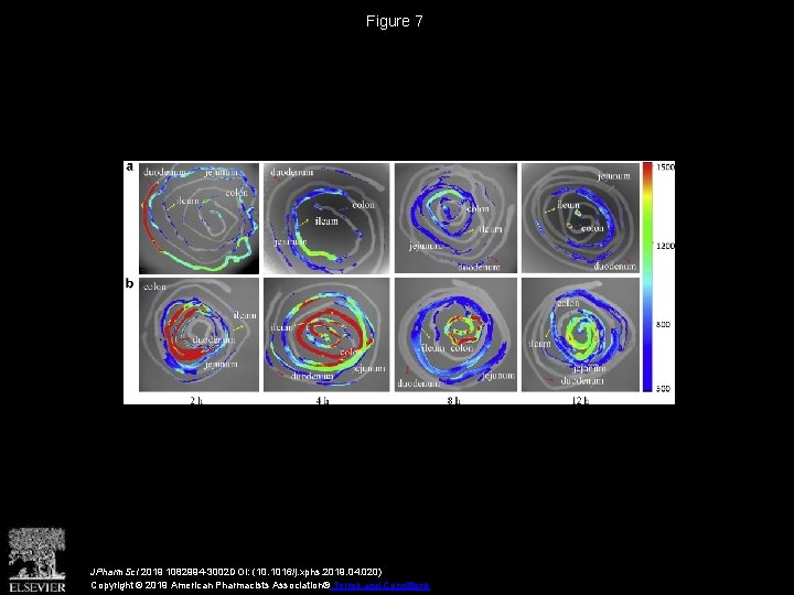 Figure 7 JPharm. Sci 2019 1082994 -3002 DOI: (10. 1016/j. xphs. 2019. 04. 020)