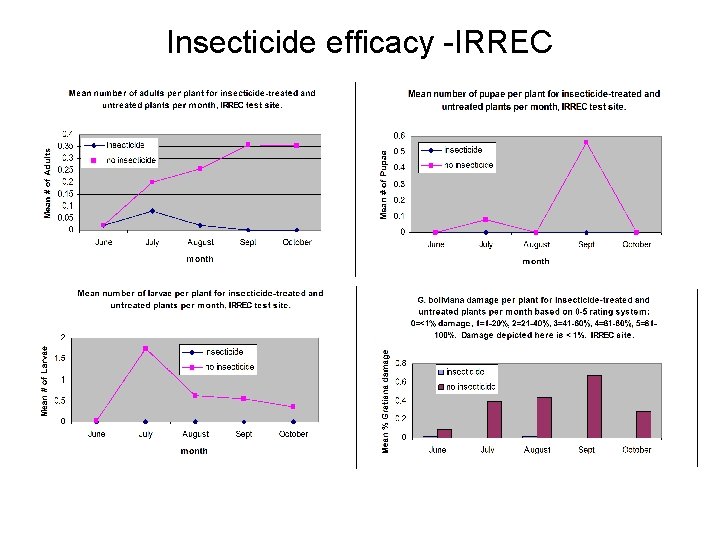 Insecticide efficacy -IRREC 
