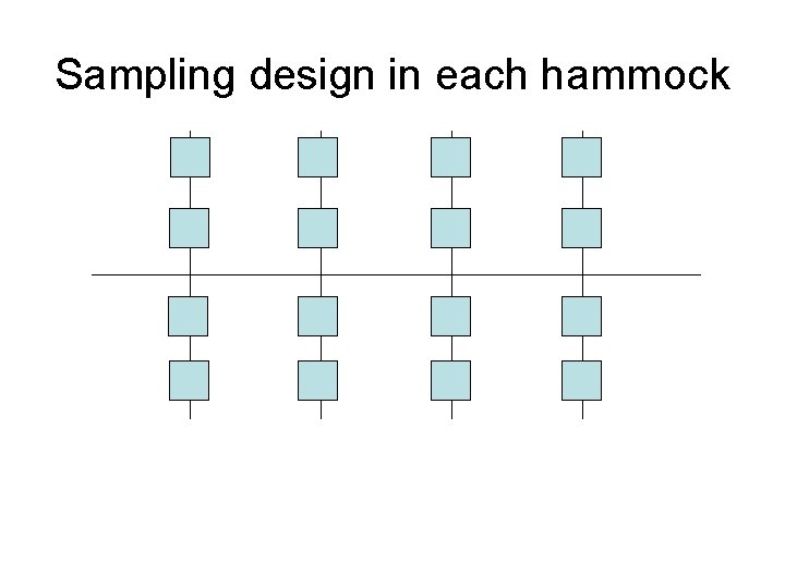 Sampling design in each hammock 