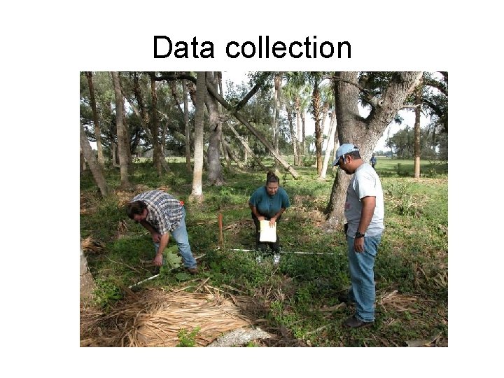 Data collection 