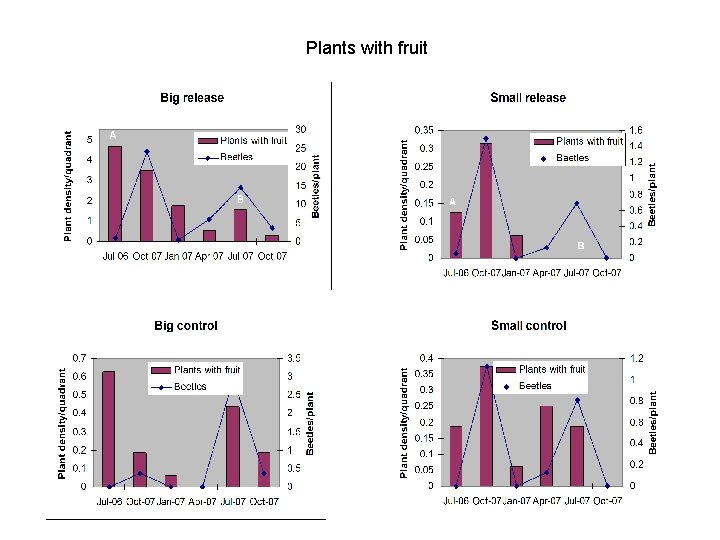 Plants with fruit 