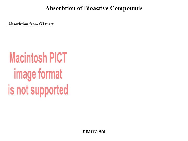 Absorbtion of Bioactive Compounds Absorbtion from GI tract KJM 5230 -H 06 