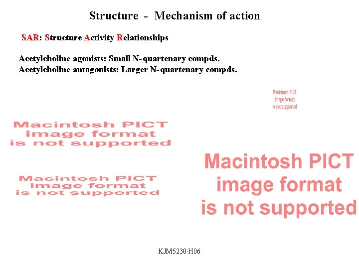 Structure - Mechanism of action SAR: Structure Activity Relationships Acetylcholine agonists: Small N-quartenary compds.