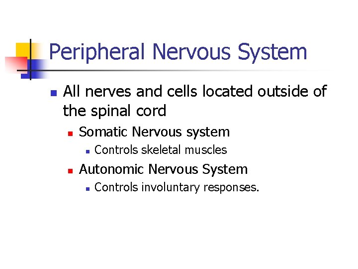 Peripheral Nervous System n All nerves and cells located outside of the spinal cord