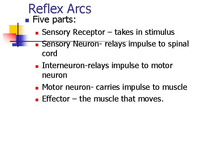 Reflex Arcs n Five parts: n n n Sensory Receptor – takes in stimulus