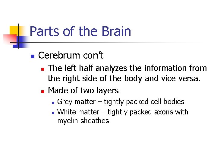 Parts of the Brain n Cerebrum con’t n n The left half analyzes the