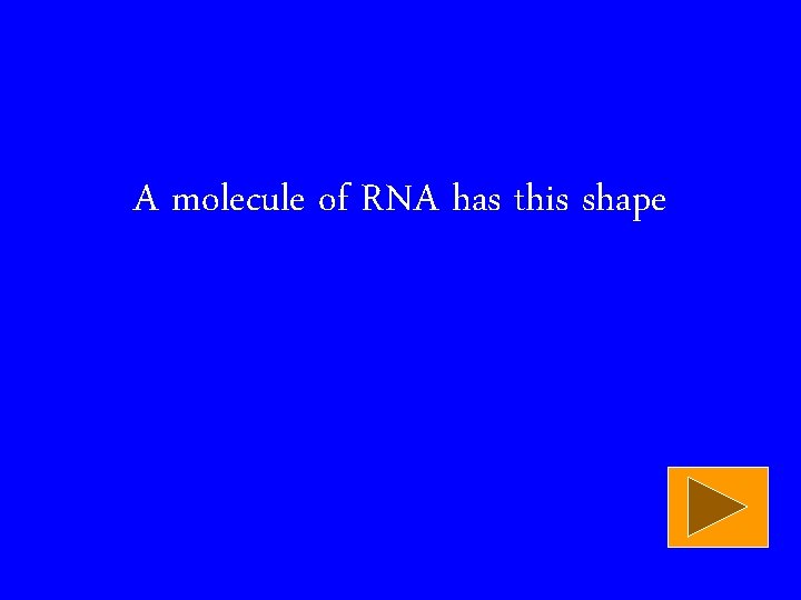 A molecule of RNA has this shape 