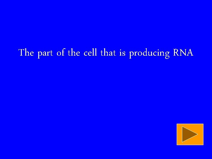 The part of the cell that is producing RNA 