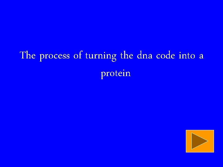 The process of turning the dna code into a protein 