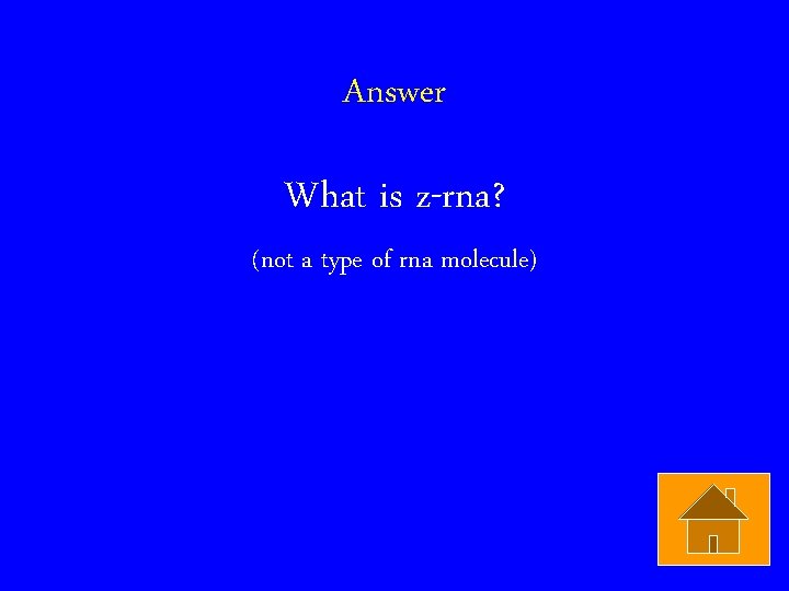 Answer What is z-rna? (not a type of rna molecule) 