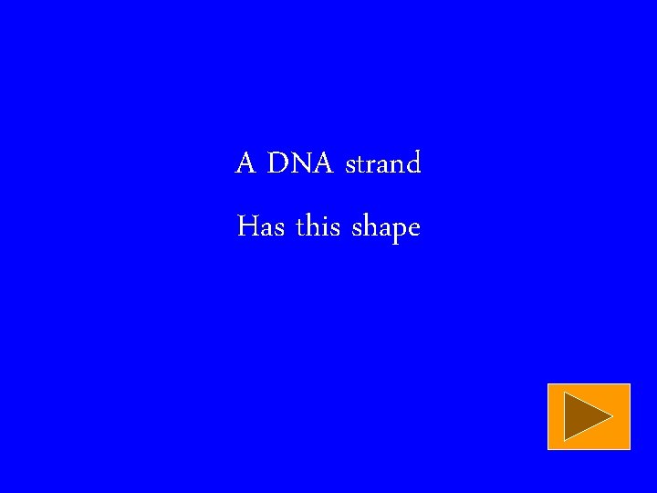 A DNA strand Has this shape 