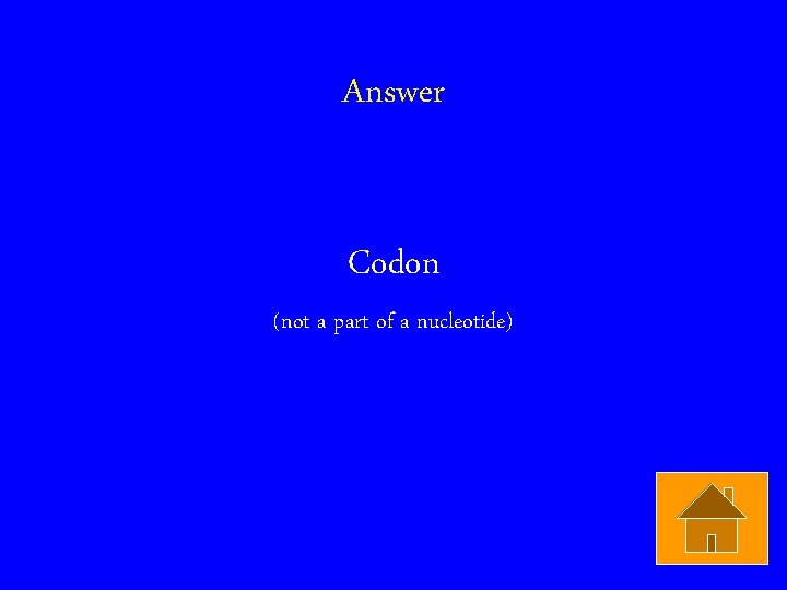 Answer Codon (not a part of a nucleotide) 