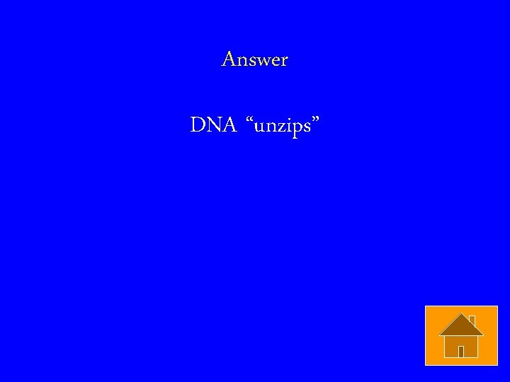 Answer DNA “unzips” 