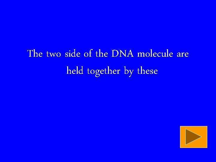 The two side of the DNA molecule are held together by these 