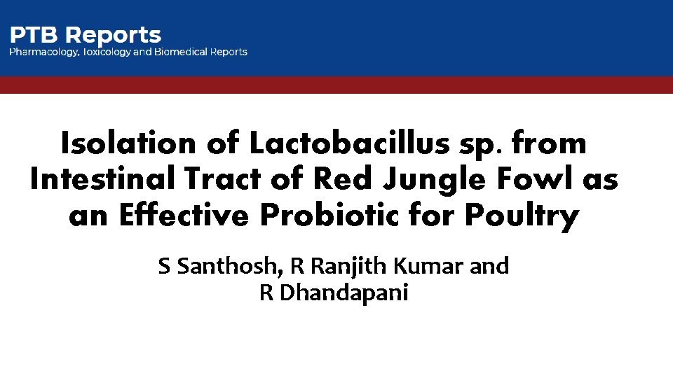 Isolation of Lactobacillus sp. from Intestinal Tract of Red Jungle Fowl as an Effective