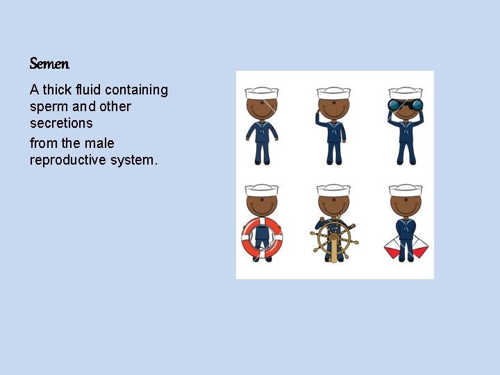 Semen A thick fluid containing sperm and other secretions from the male reproductive system.