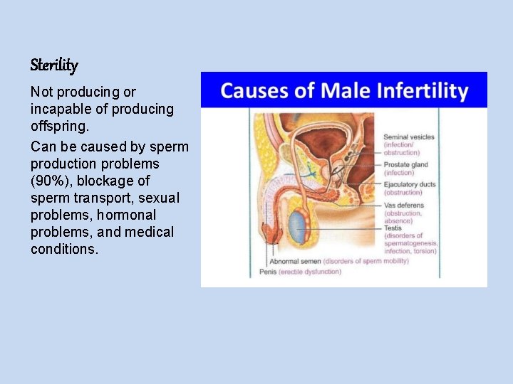 Sterility Not producing or incapable of producing offspring. Can be caused by sperm production