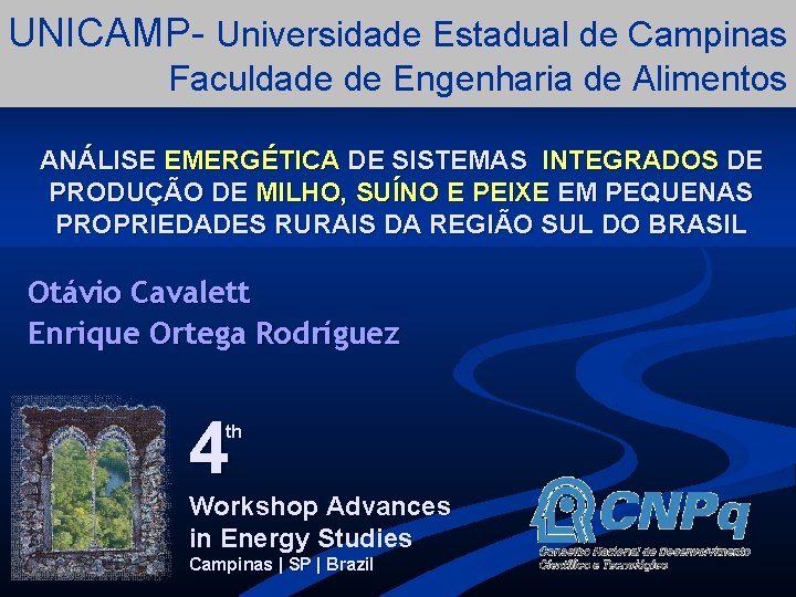 UNICAMP- Universidade Estadual de Campinas Faculdade de Engenharia de Alimentos ANÁLISE EMERGÉTICA DE SISTEMAS
