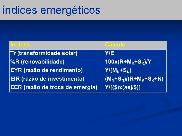 índices emergéticos 