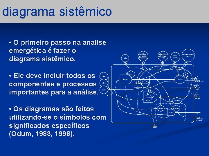 diagrama sistêmico • O primeiro passo na analise emergética é fazer o diagrama sistêmico.