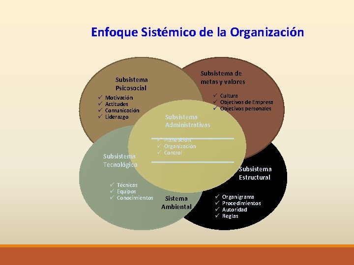 Enfoque Sistémico de la Organización Subsistema de metas y valores Subsistema Psicosocial ü ü