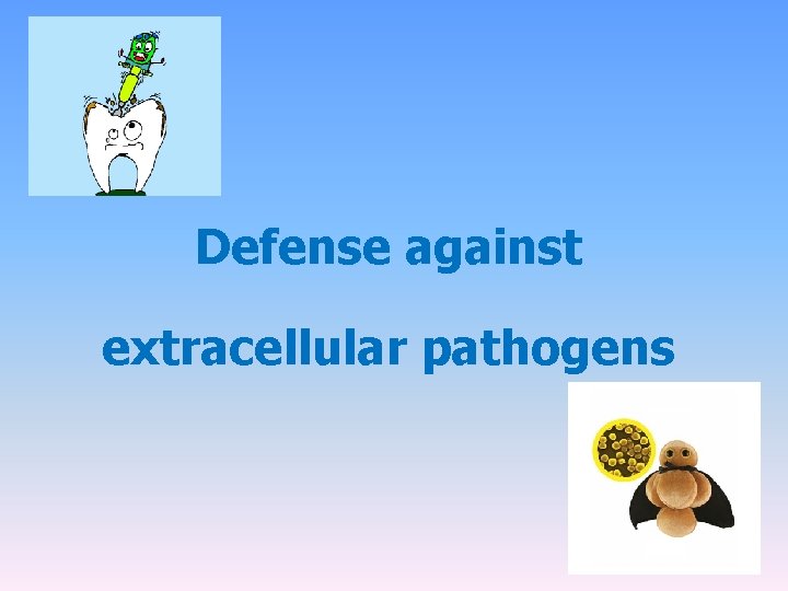 Defense against extracellular pathogens 