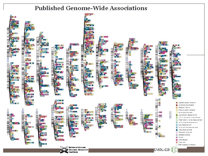 Published Genome-Wide Associations 
